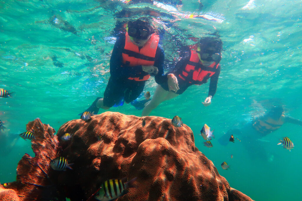Essential Snorkeling Gear for Exploring Puerto Morelos National Reef Park