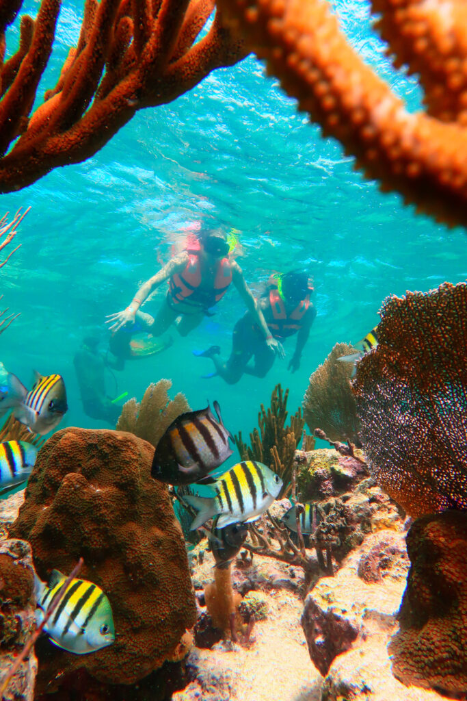 Top 10 Travel Tips for Visiting Puerto Morelos Reef Park