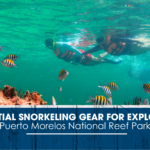 https://snorkeladventuring.com/snorkel-adventuring-details.php