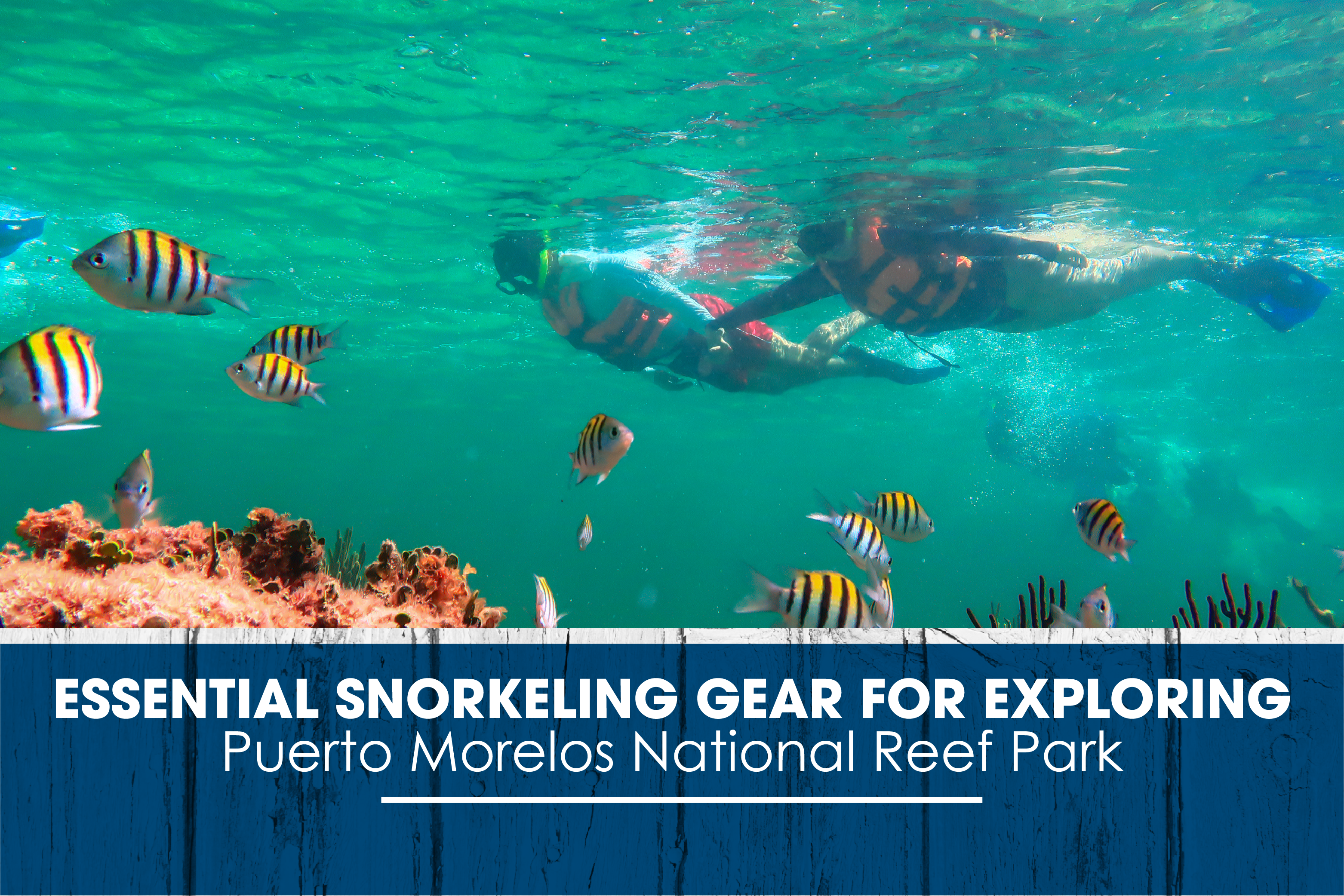 https://snorkeladventuring.com/snorkel-adventuring-details.php