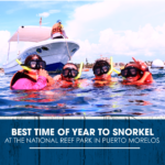 Best Time of Year to Snorkel at the National Reef Park in Puerto Morelos