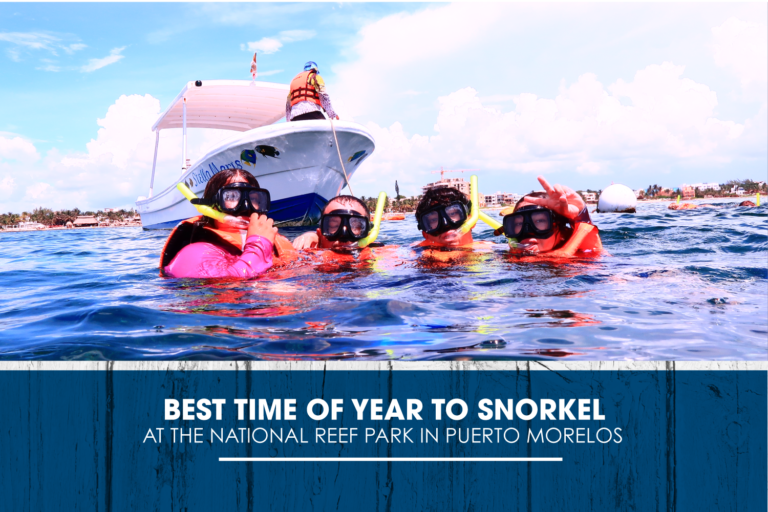 Best Time of Year to Snorkel at the National Reef Park in Puerto Morelos