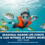 Seasonal Marine Life Events You Can Witness at Puerto Morelos Reef Park