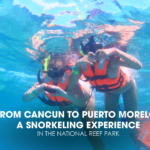 From Cancun to Puerto Morelos: A Snorkeling Experience in the National Reef Park