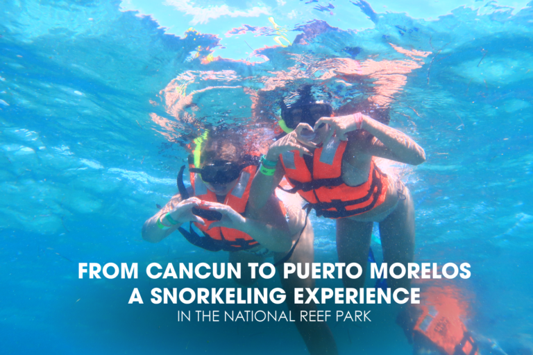 From Cancun to Puerto Morelos: A Snorkeling Experience in the National Reef Park