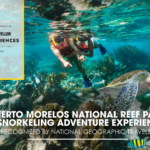Puerto Morelos National Reef Park: A Snorkeling Adventure Experience Recognized by National Geographic Traveler