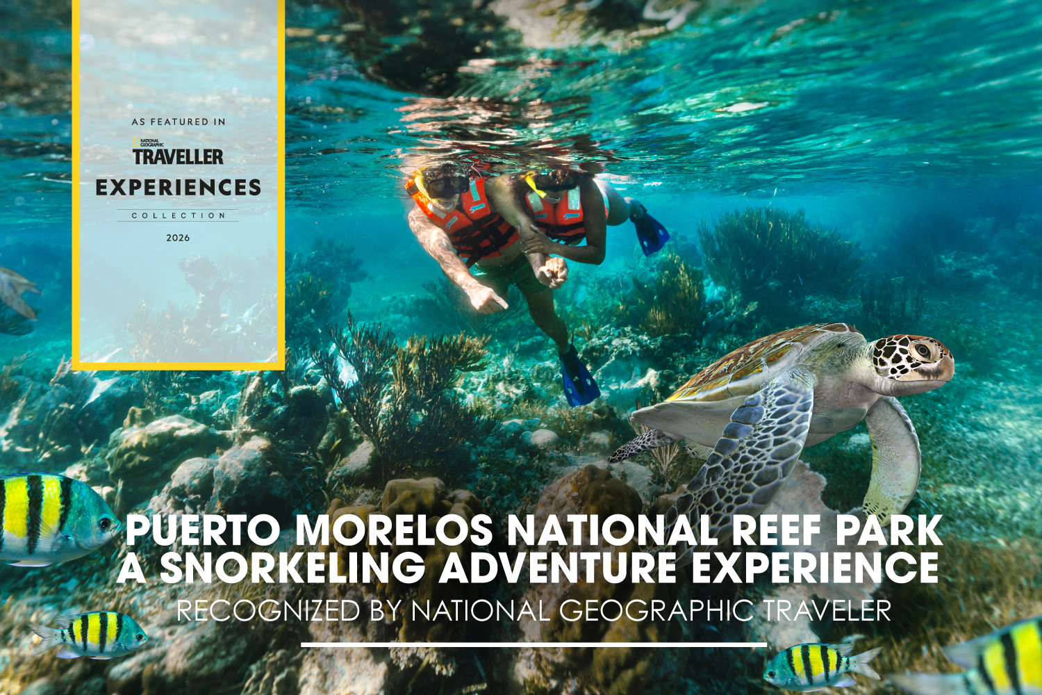 Puerto Morelos National Reef Park: A Snorkeling Adventure Experience Recognized by National Geographic Traveler