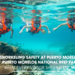 Snorkeling Safety at Puerto Morelos National Reef Park: What Every Visitor Should Know