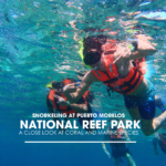 Snorkeling at Puerto Morelos National Reef Park: A Close Look at Coral and Marine Species