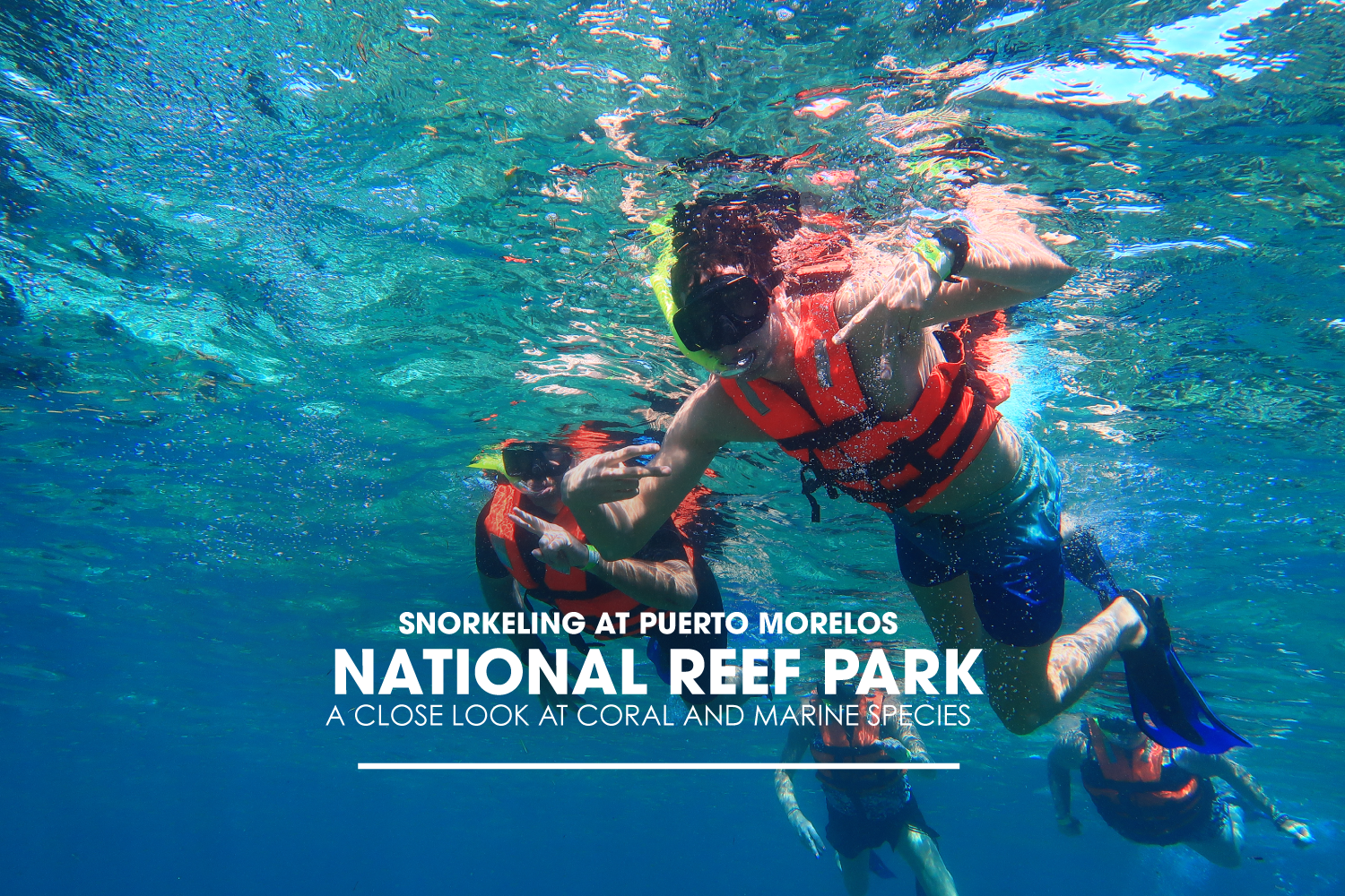 Snorkeling at Puerto Morelos National Reef Park: A Close Look at Coral and Marine Species