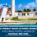 Eco-Friendly Travel in Puerto Morelos: Exploring Puerto Morelos National Reef Park