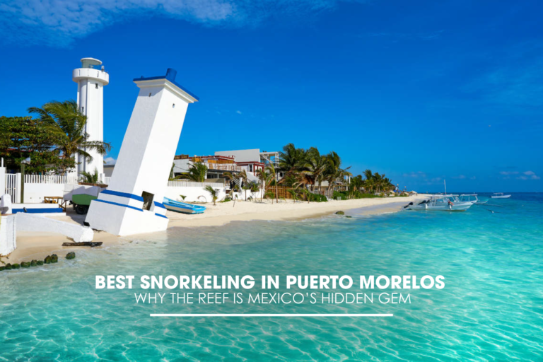 Best Snorkeling in Puerto Morelos: Why the Reef Is Mexico’s Hidden Gem
