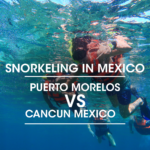 Puerto Morelos Mexico Snorkeling vs Cancun: Which Is Better?