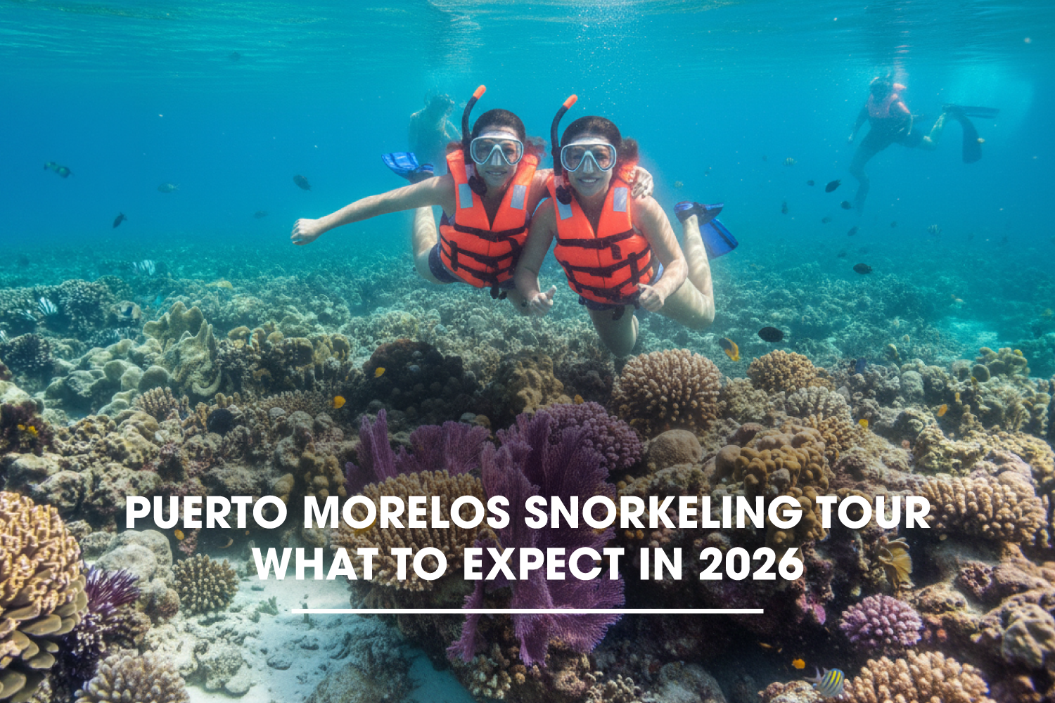 Puerto Morelos Snorkeling Tour: What to Expect in 2026