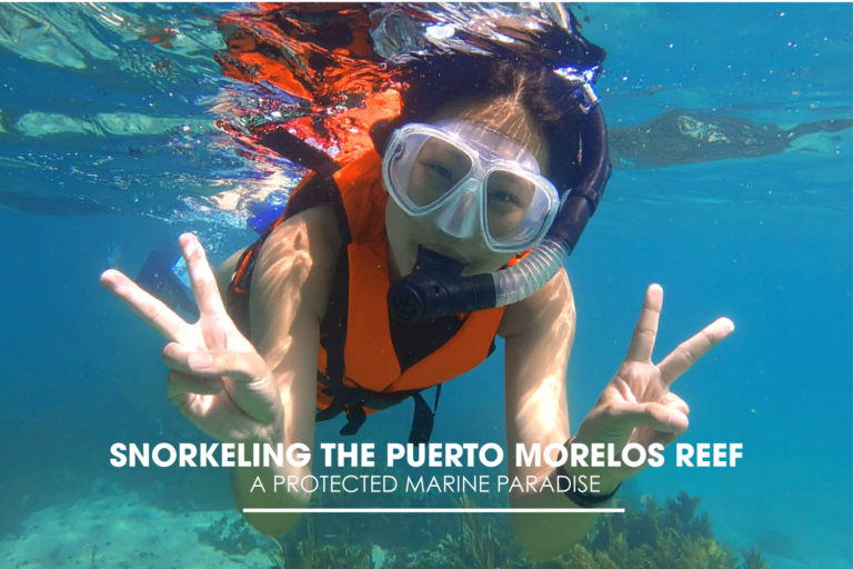 Snorkeling the Puerto Morelos Reef: A Protected Marine Paradise