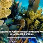 Arrecife de Puerto Morelos National Park: What Makes It Special