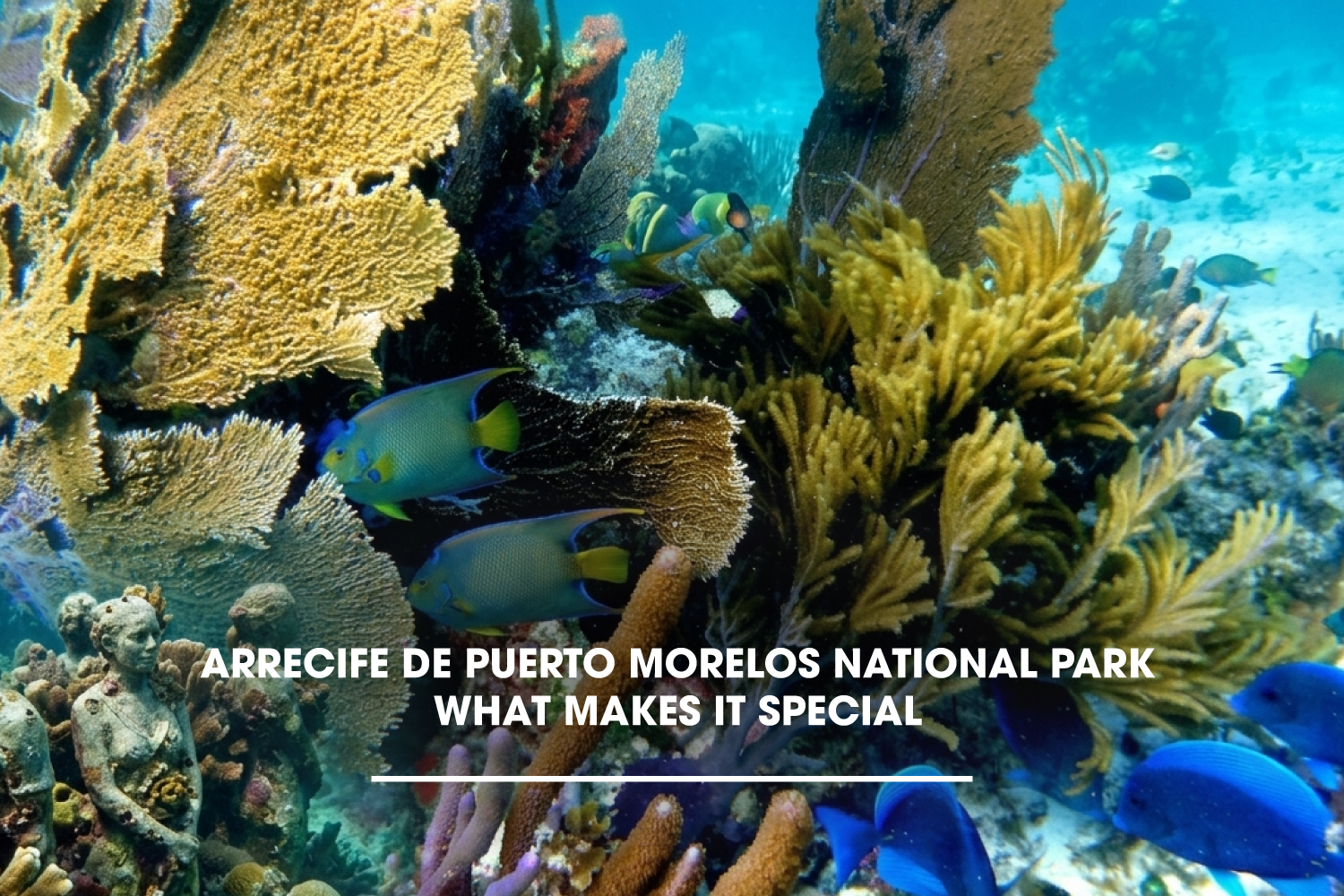 Arrecife de Puerto Morelos National Park: What Makes It Special