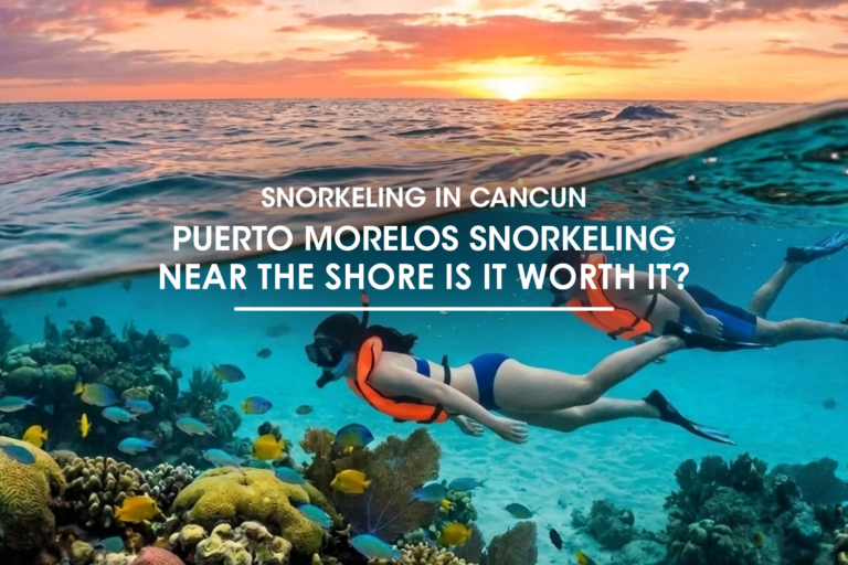 Puerto Morelos Snorkeling Near the Shore: Is It Worth It?