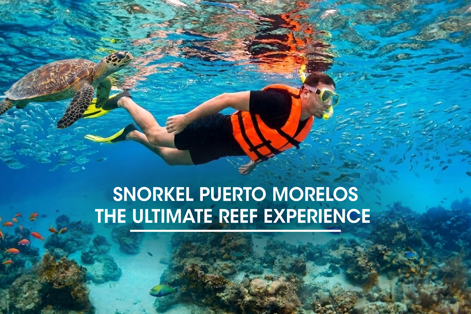 Snorkel Puerto Morelos: The Ultimate Reef